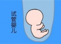 哈尔滨代怀孕初期孕酮值为13ngml，医生说偏低，那正常值是多